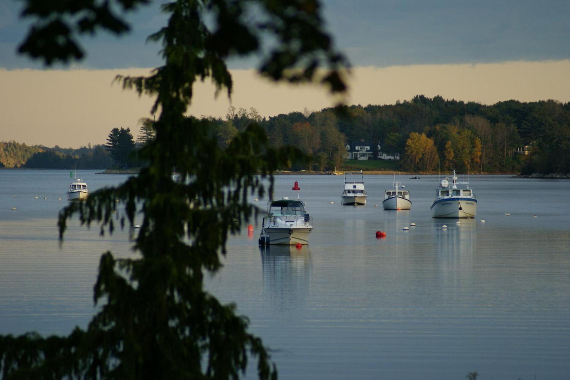 Fisherman'S Daughter B&B Mahone Bay Exterior foto